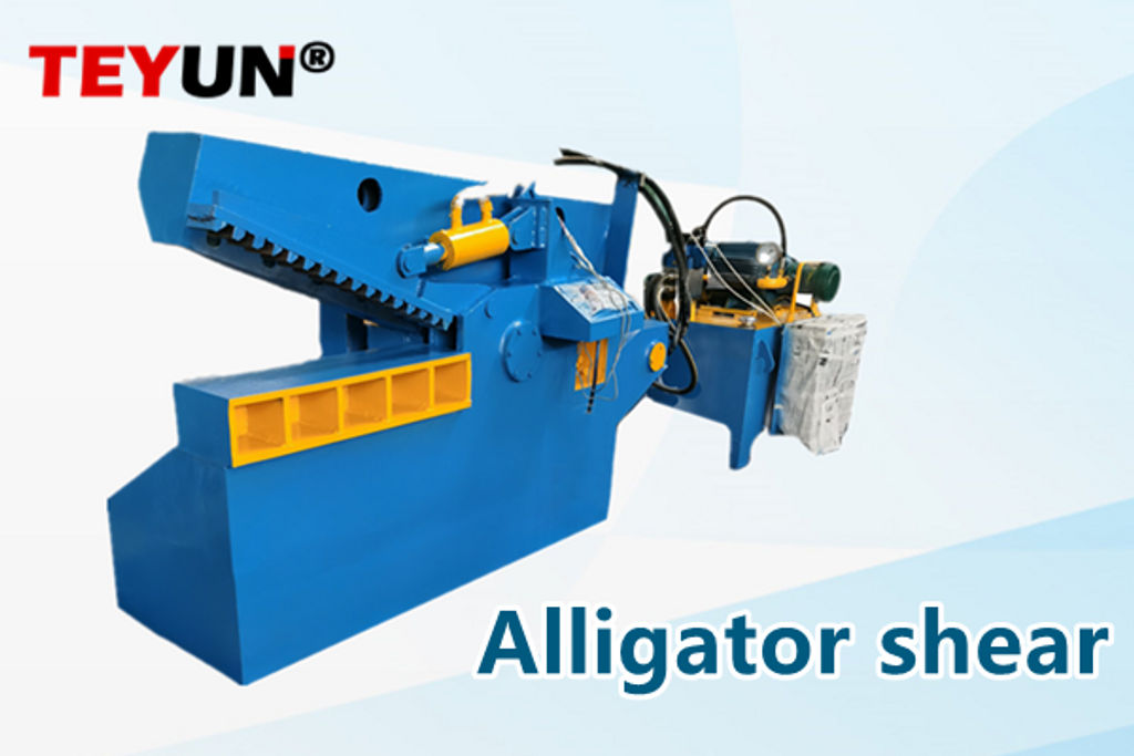 How to maintain an alligator shear？